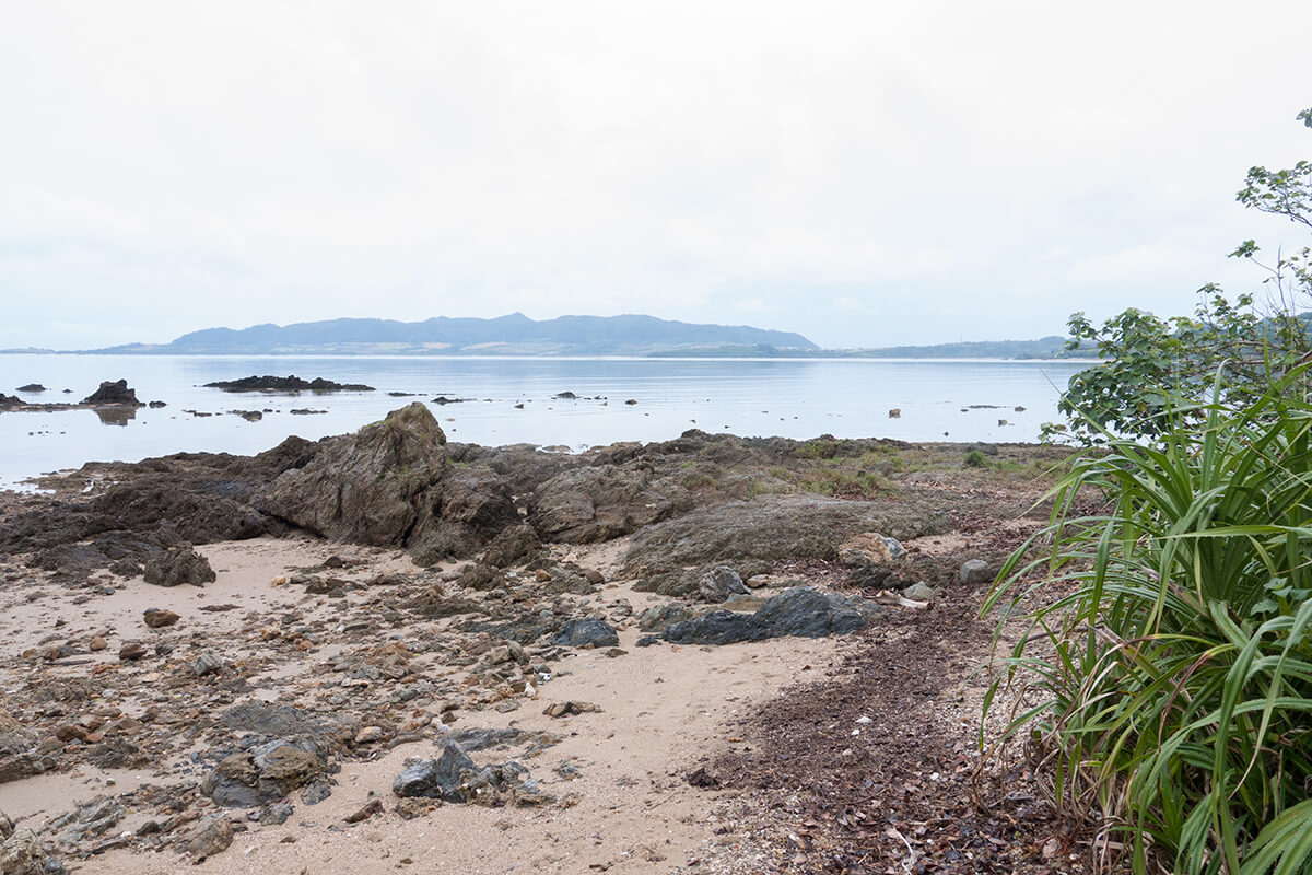 石垣島、名蔵湾の岸