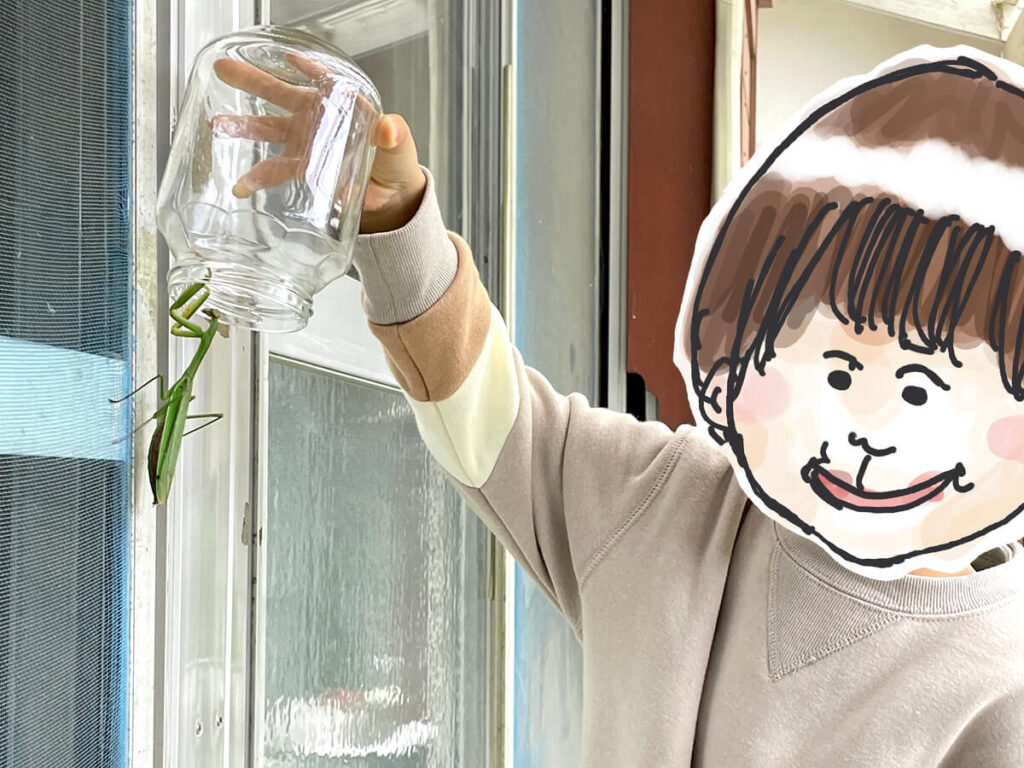 実家で虫活